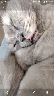 OnePlus Gallery captura 3