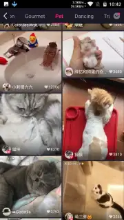 Meipai captura 10
