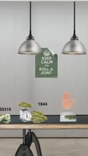 Grow Ops captura 12