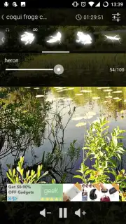 Lusity captura 3