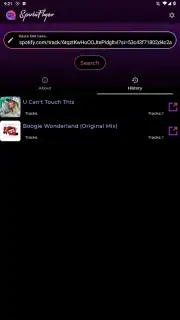 SpotiFlyer captura 2