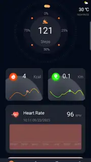 CO FIT captura 3