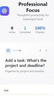 ToDo list profesinal captura 2