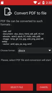 PDF Conversion Tool captura 6