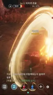 MIR4 captura 9