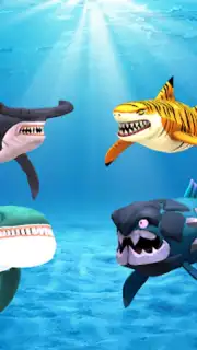 My Shark Show captura 13