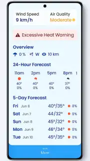 live weather checker captura 2