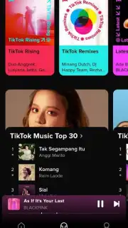 TikTok Music captura 9