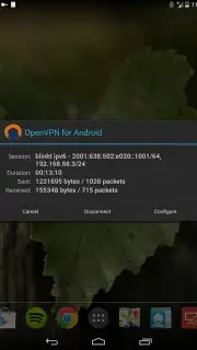 OpenVPN captura 10