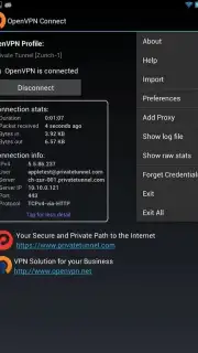 OpenVPN Connect captura 5