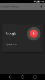 Chrome Beta captura 13