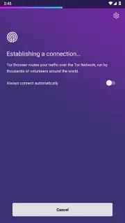Tor Browser captura 24