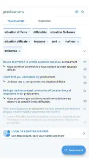 Reverso Translation Dictionary captura 3