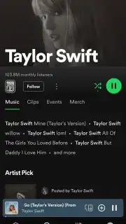 Spotify captura 26