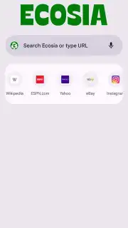 Chrome Beta captura 24