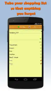 Note Droid captura 4