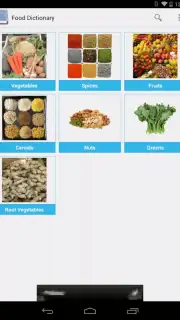 Food Dictionary captura 14