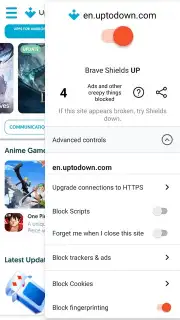 Brave Browser captura 7