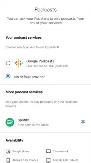 Google Home captura 2