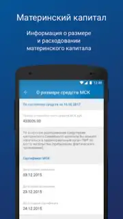 ПФР Электронные сервисы captura 1