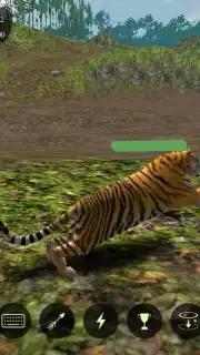 The Tiger captura 12