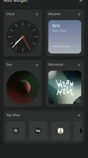 Comet Browser captura 3