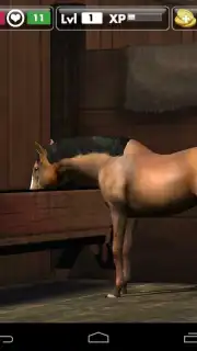My Horse captura 4