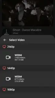 SongTube captura 8