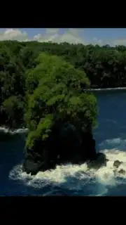 Paris Video Downloader captura 3