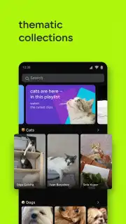 VK Clips captura 13