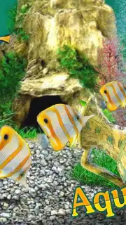 AquaLife 3D captura 8