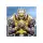 Paladin's Story
